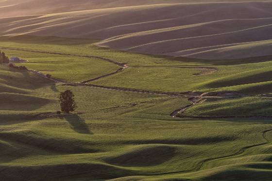 Steptoe Butte 10 The view from Steptoe Butte in the Palouse.