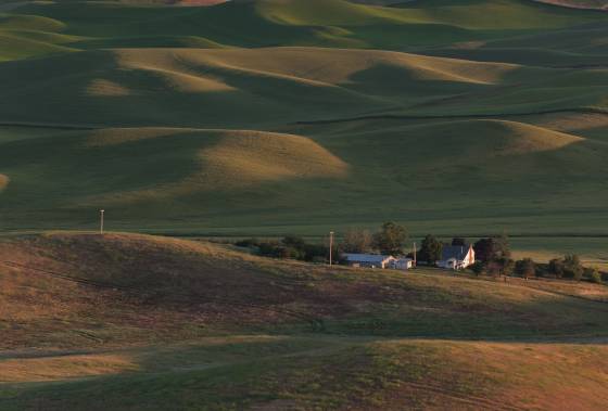 Steptoe Butte 2 The view from Steptoe Butte in the Palouse.