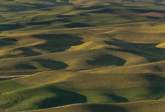 Steptoe Butte 3 The view from Steptoe Butte in the Palouse.