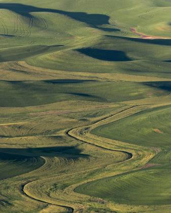 Steptoe Butte 6 View of an S Curve from Steptoe Butte in the Palouse.