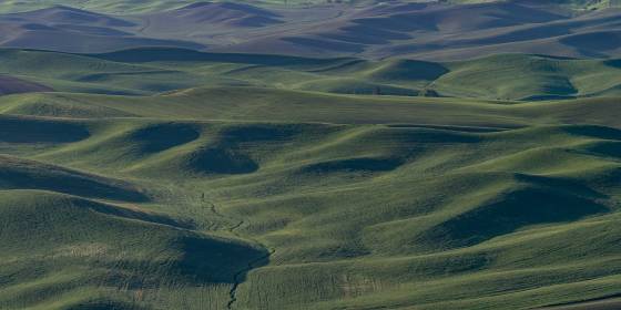 Steptoe Butte Panorama Panoramiic view from Steptoe Butte in the Palouse.