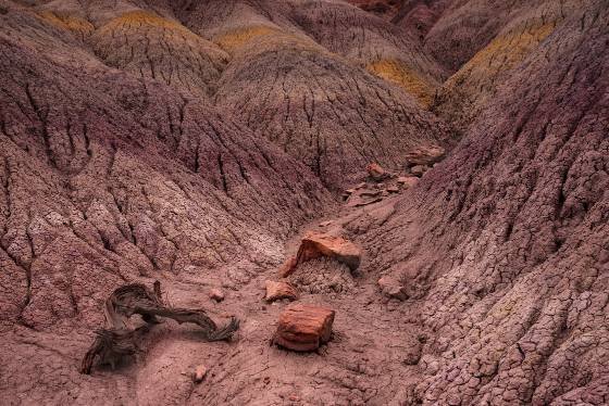 Clay Beds 6 Chinle Clay Beds along House Rock Valley Road in Vermilion Cliffs NM