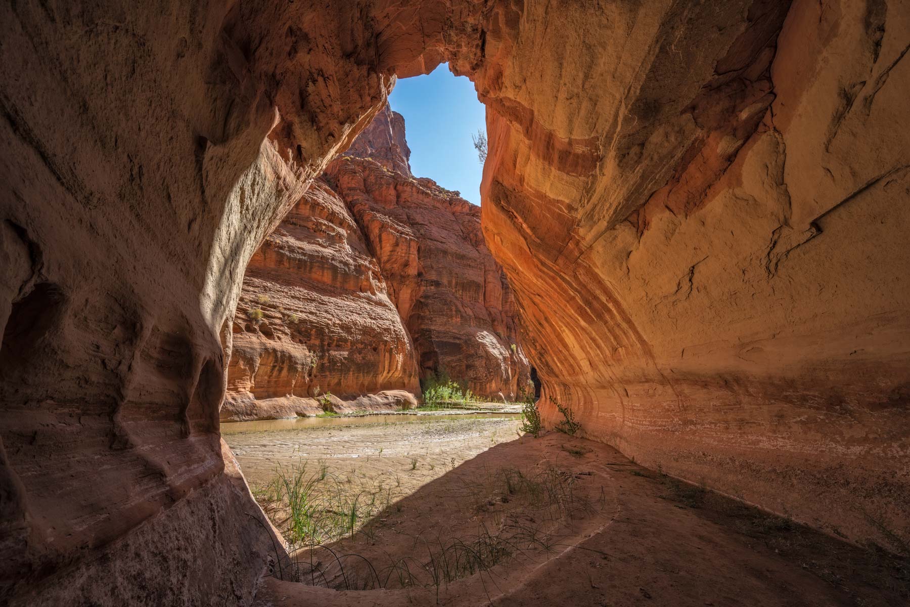 Alcove on the shore of the Paria River in Utah
