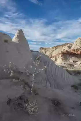 White Rocks 5 Images taken in the Lower Rimrocks area of the Grand Staircase