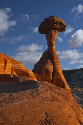 Toadstool Hoodoo 14 Toadstool Hoodoo located in the Grand Staircase Escalante NM