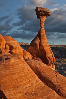 Toadstool Hoodoo 3 Toadstool Hoodoo located in the Grand Staircase Escalante NM