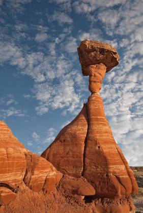 Toadstool Hoodoo 4 Toadstool Hoodoo located in the Grand Staircase Escalante NM