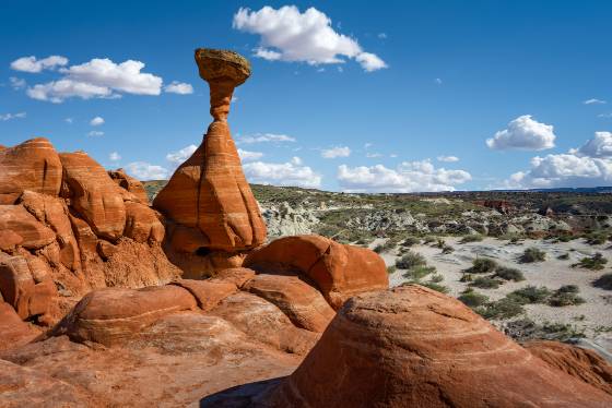 Toadstool Hoodoo Toadstool Hoodoo located in the Grand Staircase Escalante NM