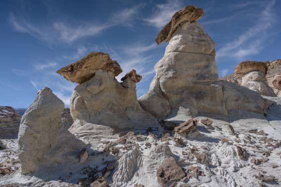 Hoodoo Forest 2 Hoodoos made from Entrada Sandstone with Dakota Caprocks in the Upper Rimrocks of the Grand Staircase