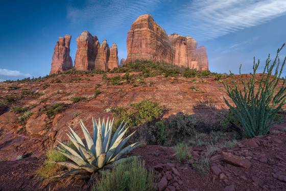 Cathedral Rock from the Trail Agave, Ocotillo, and Cathedral Rock viewed from the Cathedral Rock Trail in Sedona