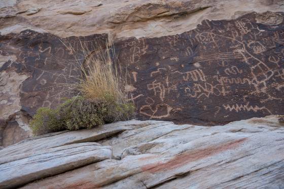 Petroglyphs 2 Petroglyphs near Bitter Sprinsgh Trail in Buffington Pockets, Nevada