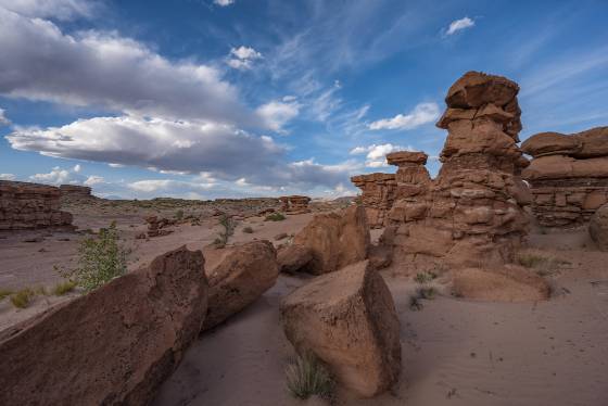 Recapture Pocket 15 Recapture Pockets near Bluff, Utah