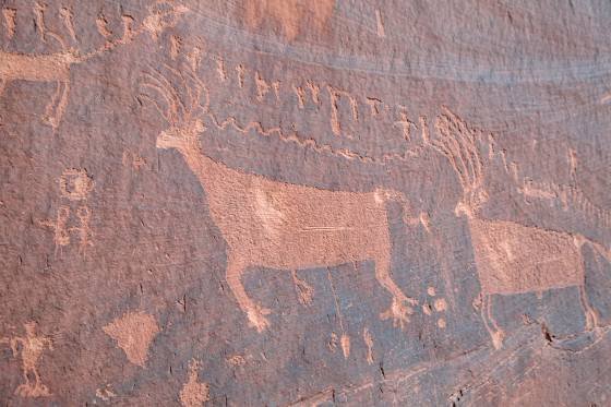 Procession Panel 1 The 179 Procession Panel on Comb Ridge, Utah