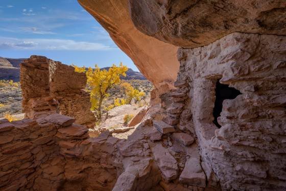 River House late October 2 Fall Color near River House Anasazi Ruin