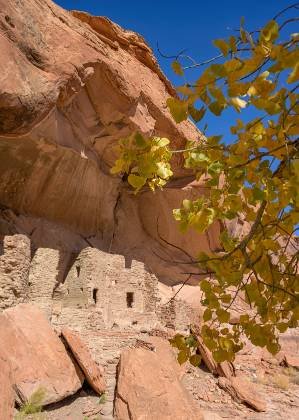 River House late October Fall Color near River House Anasazi Ruin