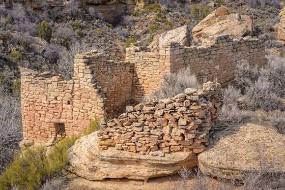 Unit Type House Unit Type House in the Square Tower Group of Hovenweep NM