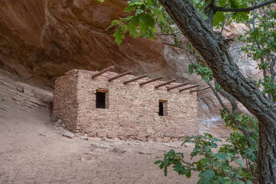 The Doll House after sunrise The Doll House Anasazi Granary in Bear Ears National Monument