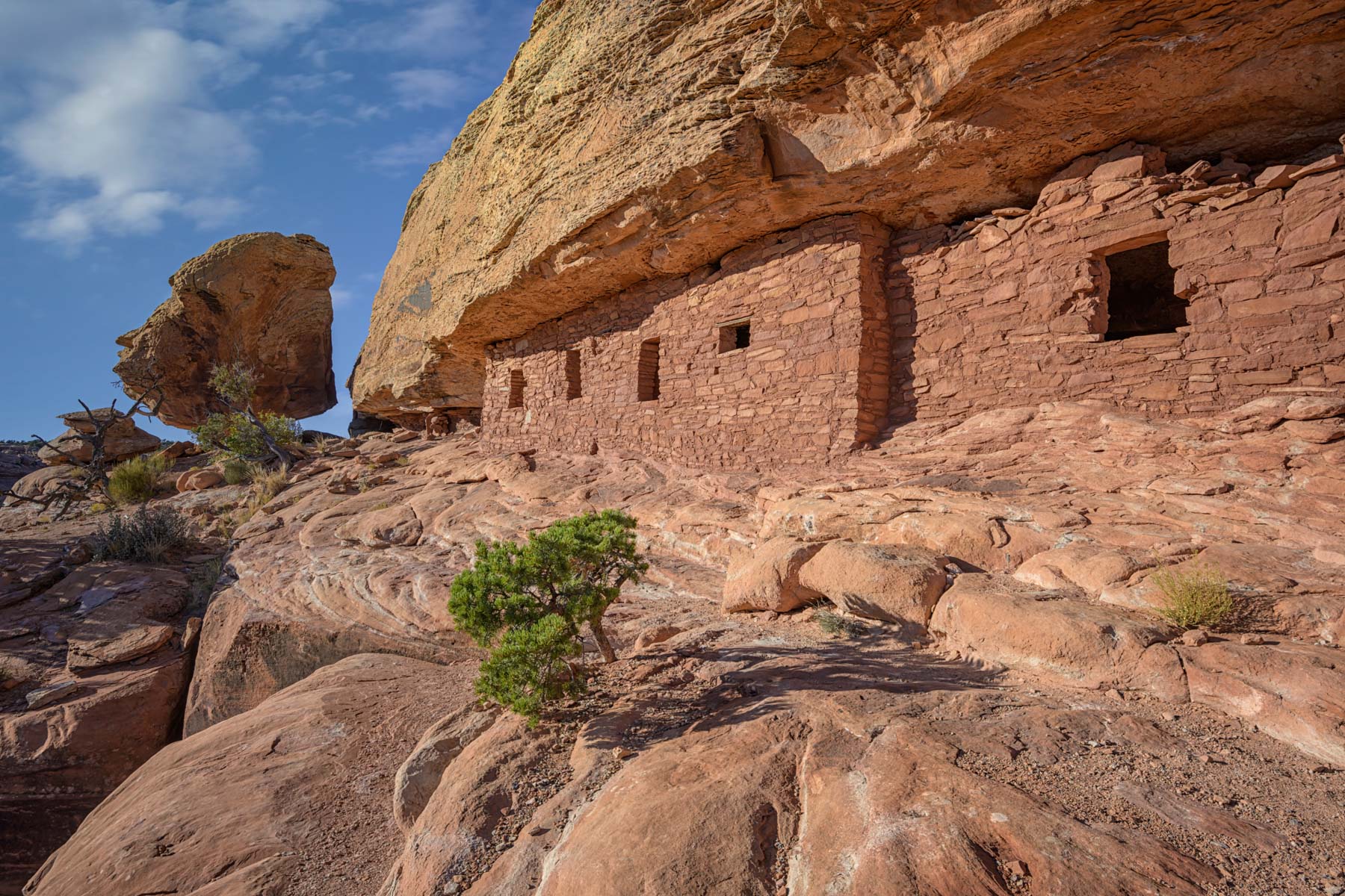 The Citadel ruin above Road Canyon on Cedar Mesa