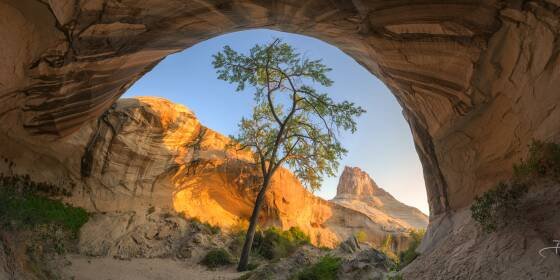 Tree Cave 360 Panorama 360 degree panorama a of Tree Cave near Page, Arizona, shot from the right side atfter sunrise.
