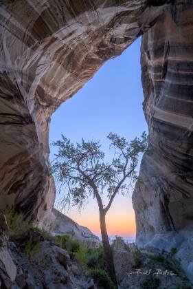 Tree Cave Blue Hour Tree Cave near Page, Azriona, shot from the center twenty minutes before sunrise..