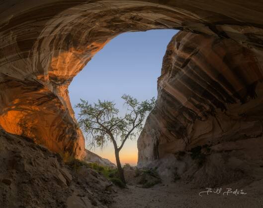 Tree Cave Tree Cave near Page, Arizona, shot centered after sunrise.