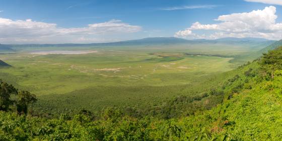 Ngorongoro Caret Panorama Panoramic view of Ngorongoro Crated in Tanzania.