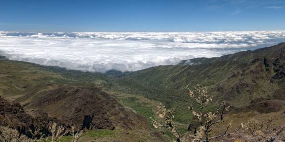 Above the clouds Looking down on the clouds on the trail to the Kilimanjao summit.