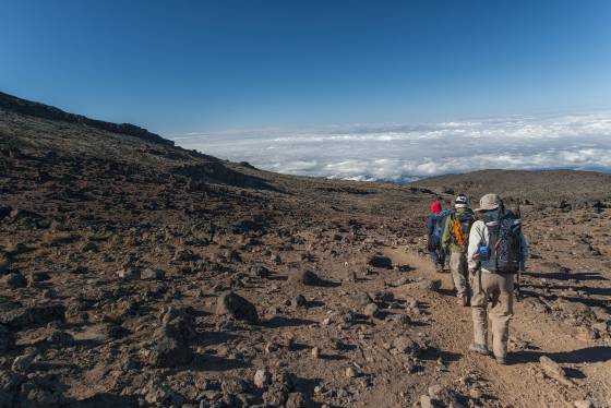 Hikers on the Shire Plateau trail No 1 Hikers on the Shire Plateau trail to the summit of Mount Kilimanjaro.
