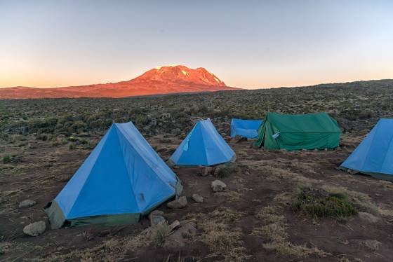 Kilimanjaro at First Light The red glow of dawn lighting up Mount Kilimanjaro..