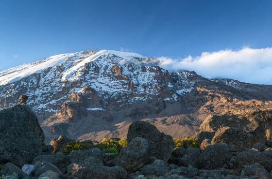 Mount Kilimanjaro View of the summit of Mount Kilimanjaro