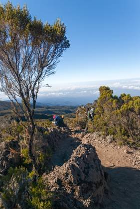 Sherpas resting Sherpas resting on the trail to Mount Kilimanjaro.