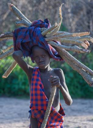 Young Maasai with firewood Maasai boy carrying firewood, seen in Tanzania.