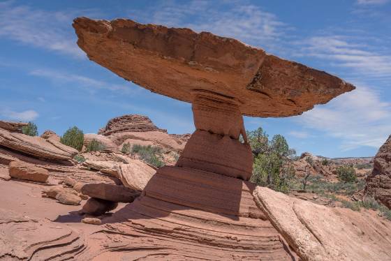 Flat Top Hoodoo No 2 Flat Top hoodoo near Wolf Knoll in Sand Hills on the Utah Arizona Border