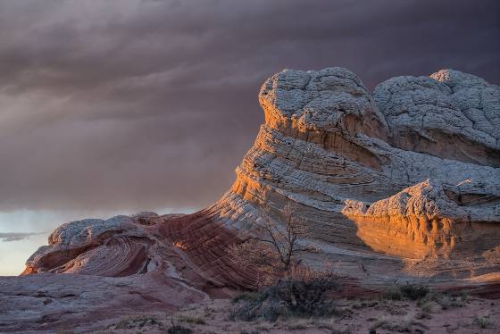 The Swirl in March The Swirl, an example of soft sediment deformation at The White Pocket