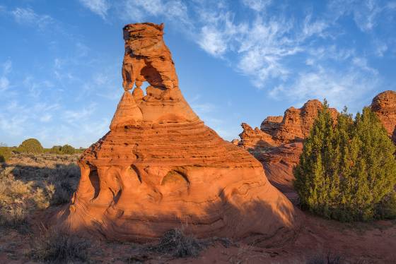 Lion King Arch The Lion King Arch in Vermilion Cliffs National Monument