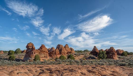 Teepees near The Lion King Teepees east of The Lion King in Vermilion Cliffs National Monument