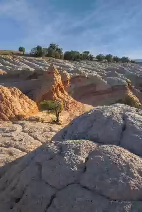 Rainbow Sherbet 4 Rainbow Sherbet rock formation in Vermilion Cliffs National Monument, Arizona.