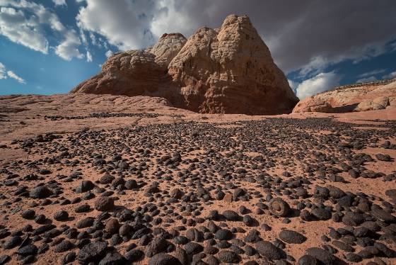 Moqui CIty at The White Pocket No 1 Moqui martbles lying in Polygonal cracks at The White Pocket