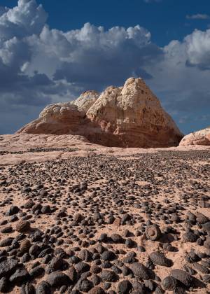 Moqui City at The White Pocket No 2 Moqui martbles lying in Polygonal cracks at The White Pocket