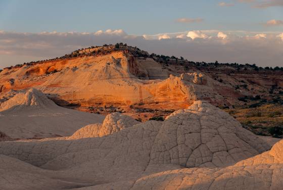 Tan Late light at The White Pocket
