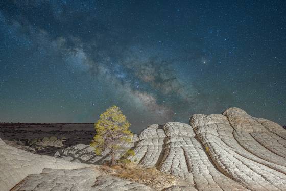 The Milky Way over The Tree 1 The Milky Way rises over a Ponderosa Pine at The White Pocket in Vermilion Cliffs NM