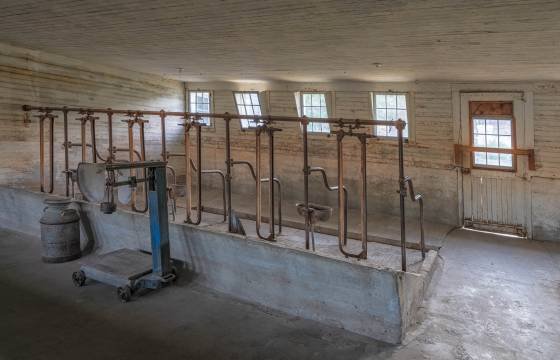 Milking Parlor Milking equipment for the Guernsey cows at the Guernsey Dairy Barn, Ritter Island, Idaho