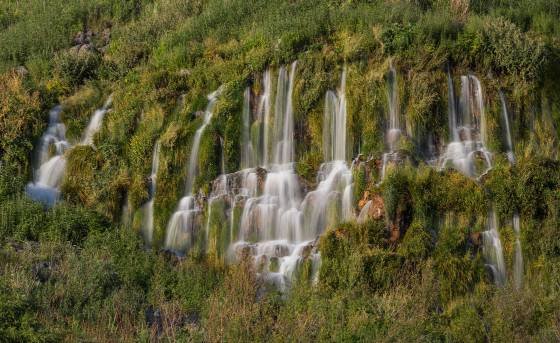Minnie Miller Falls 2 Minnie Miller Falls seen from Ritter Island in Thousand Springs State Park