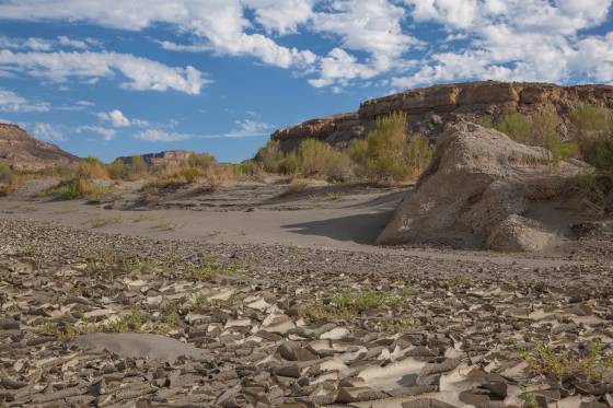 Cracked Earth near Wahweap Creek Wahweap Creek Badlands in Utah