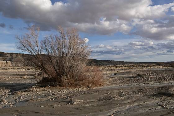 Wahweap Creek Dried Up Wahweap Creek Badlands in Utah