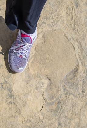Big Feet Large footpriny at the Twenty Mile Dinosaur Trackway in the Grand Staircase Escalante National Monument.