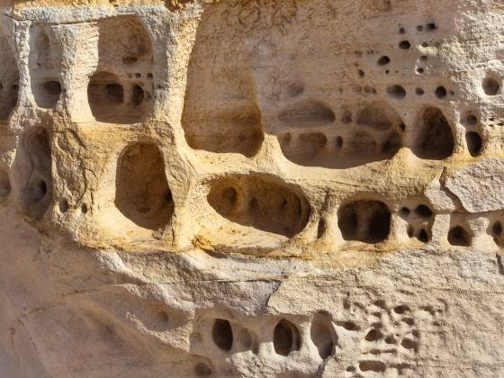 Swiss Cheese Tafoni rock in Colorful Canyon