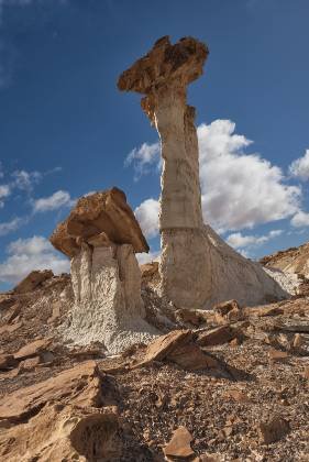 Dromedary Hoodoo Dromedary Hoodoo in the Upper White Rocks