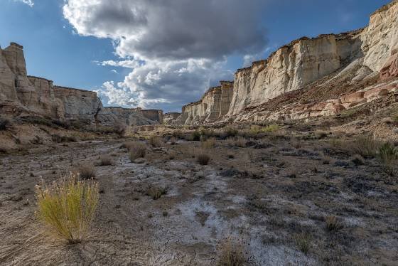 West Fork of Wahweap Creek Looking upstream in the West Fork of Wahweap Creek