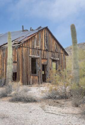 Schoolhouse framed by Saquaro One ot two schoolhouses in Vulture City ghost town, Arizona.